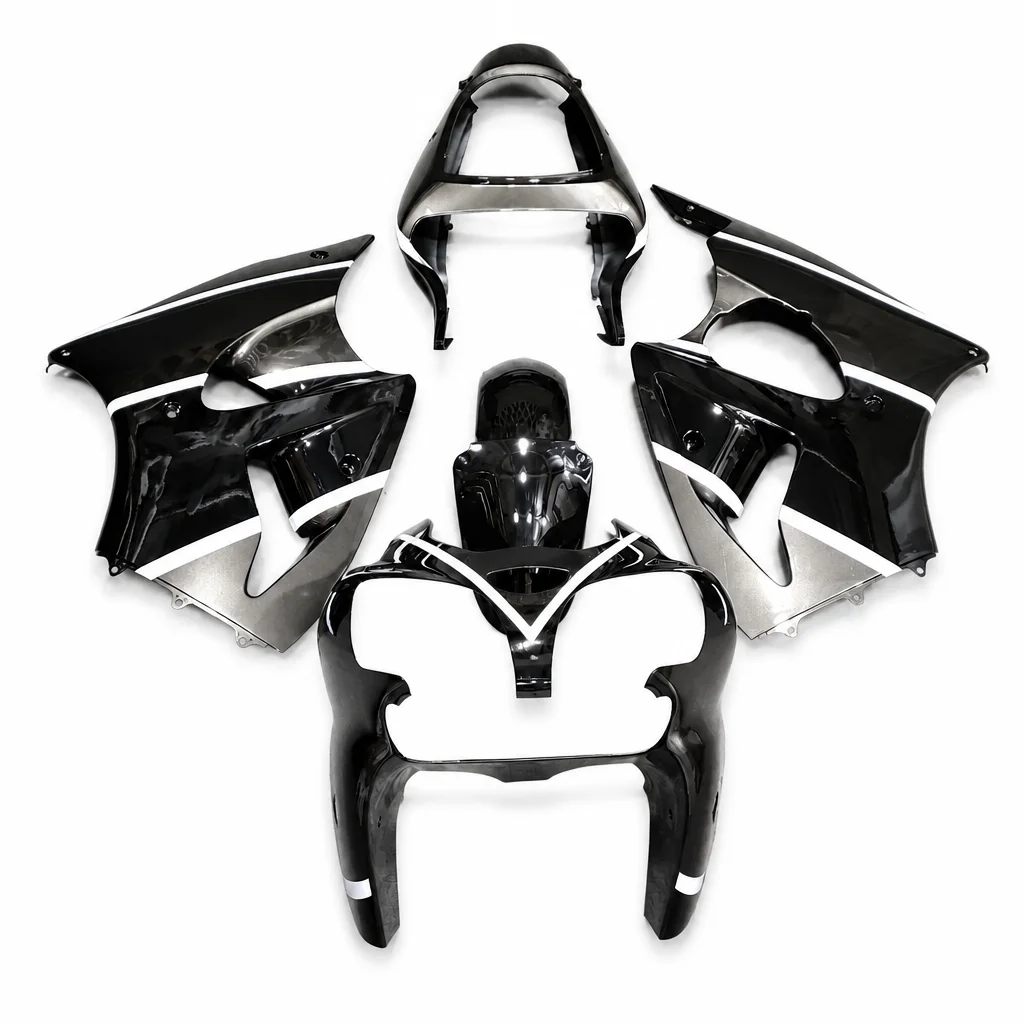 Fairing set Kawasaki ZX-6R 2000-2002